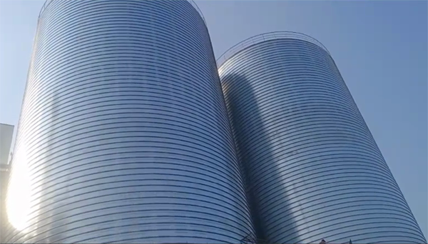 曲靖2座混凝土高架卷板仓